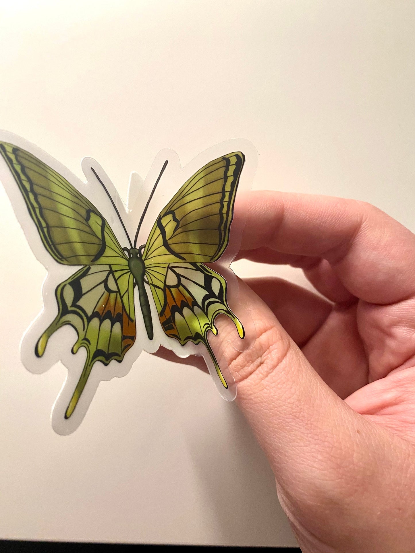 3” Vinyl Clear Sticker Swallowtail Kaiser-i-hind Green Butterfly