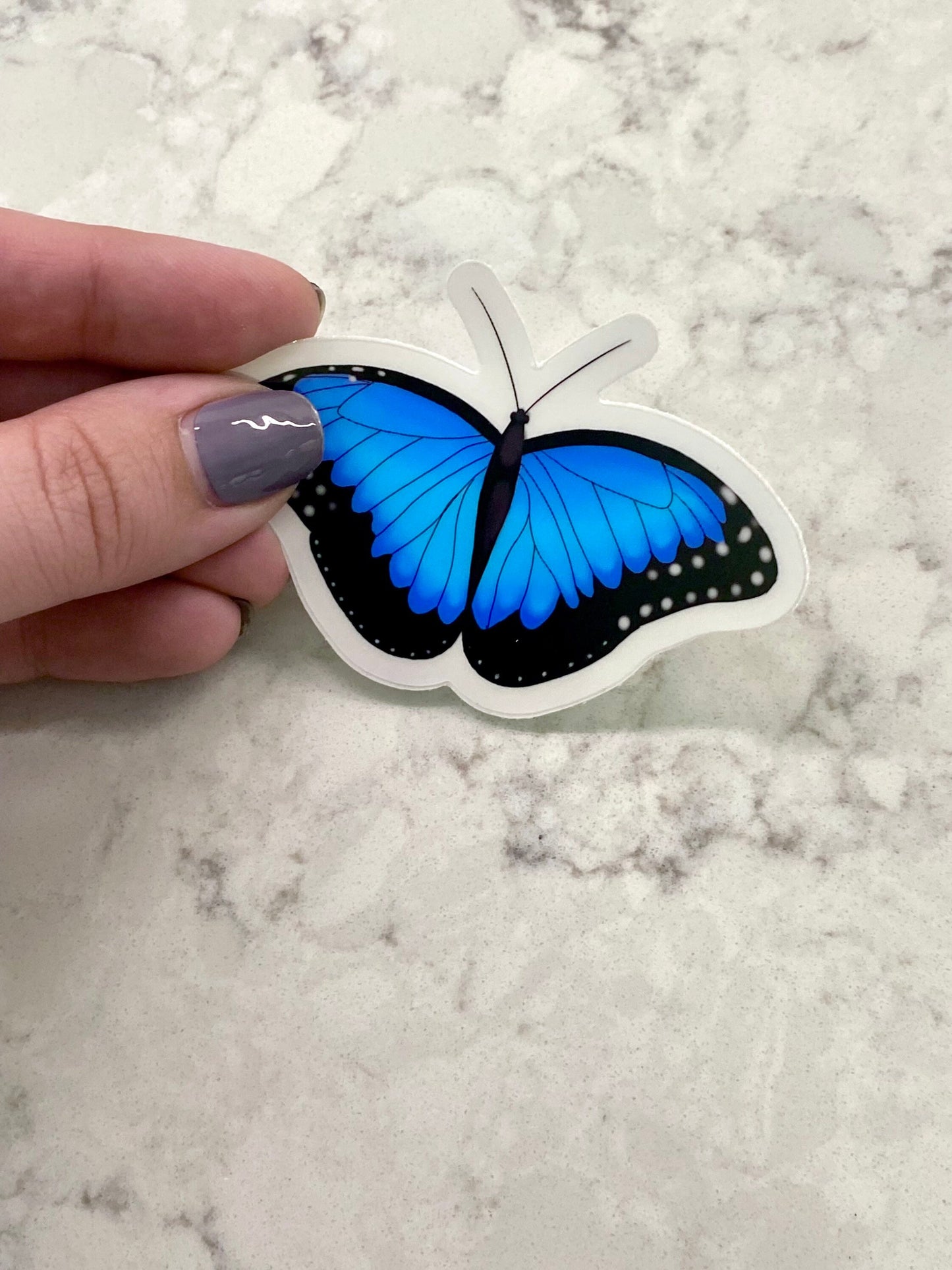 3” Vinyl Clear Sticker, Blue Morpho Butterfly, Waterproof Sticker, Gifts For Butterfly Lovers, water bottle stickers, laptop stickers