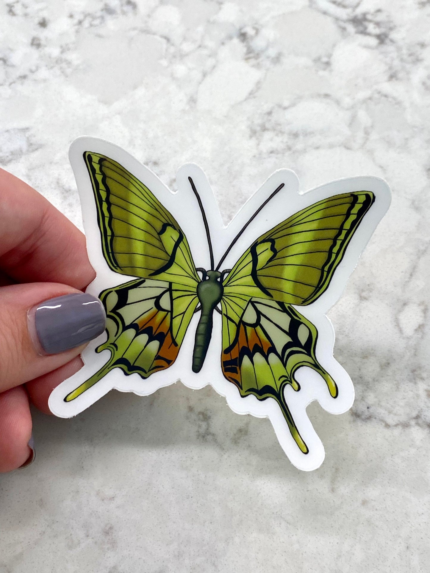 3” Vinyl Clear Sticker Swallowtail Kaiser-i-hind Green Butterfly