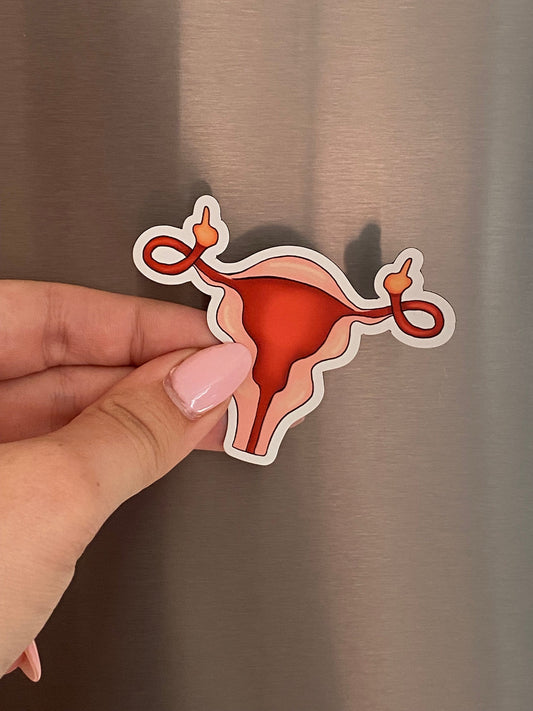 3” Sticker Women’s Rights Uterus Middle Finger Feminism