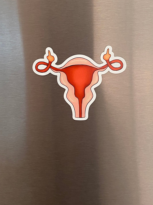 3” Magnet Women’s Rights Uterus Middle Finger Feminism