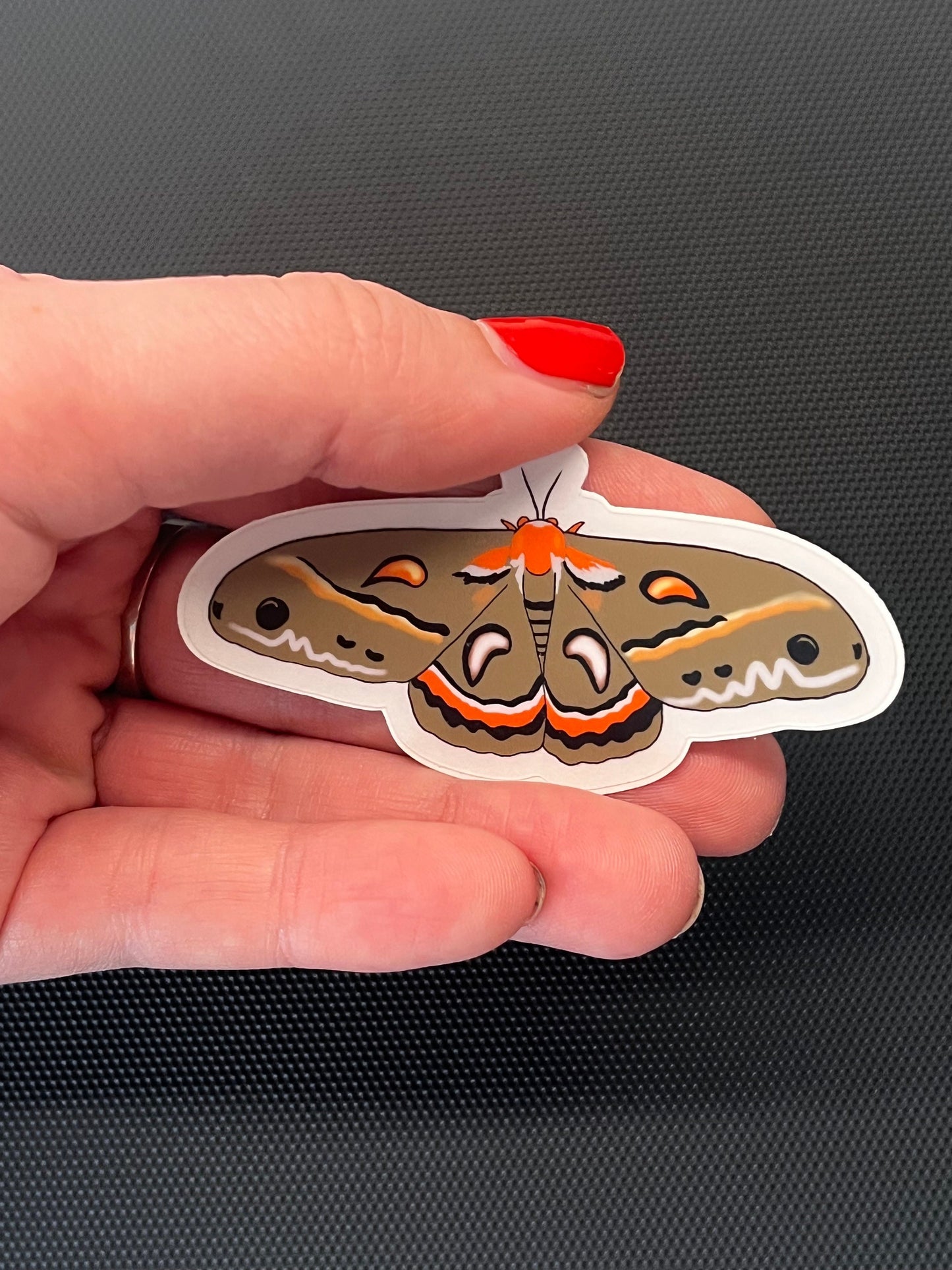 3” Vinyl Clear Sticker Moth Digital Drawing Illustration