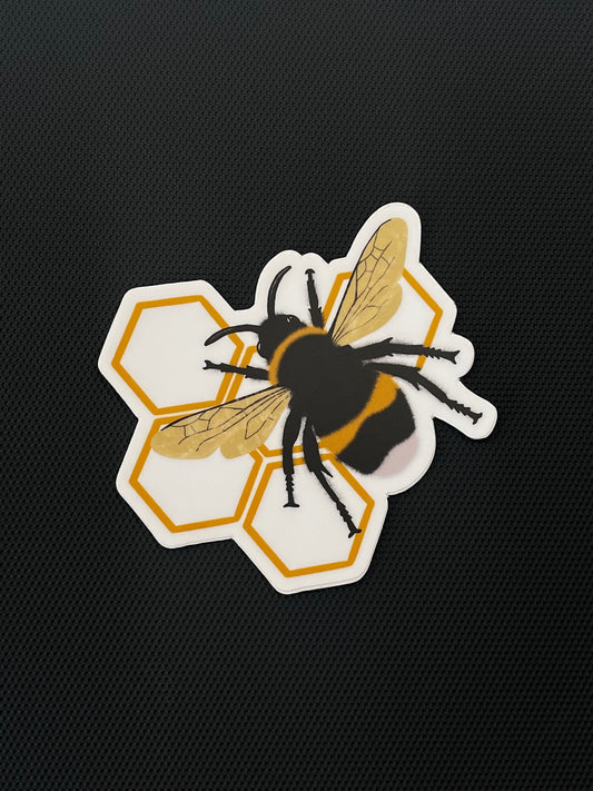 3” Vinyl Sticker Bee Honeycomb Insect Bumblebee Digital Drawing Illustration